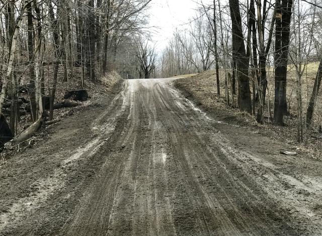 20170327_151450740_iOS