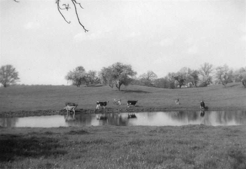 The pond in the 1940's