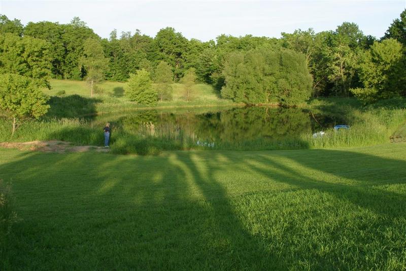 The Pond