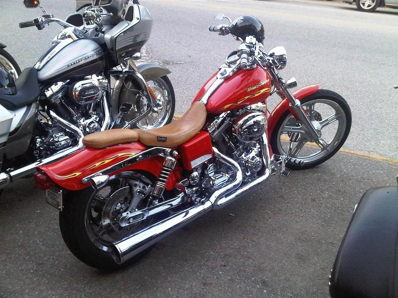 IMG00146-20100527-2033 (Custom)