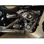 IMG00193-20100406-1742 (Custom)