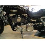 IMG00195-20100406-1745 (Custom)